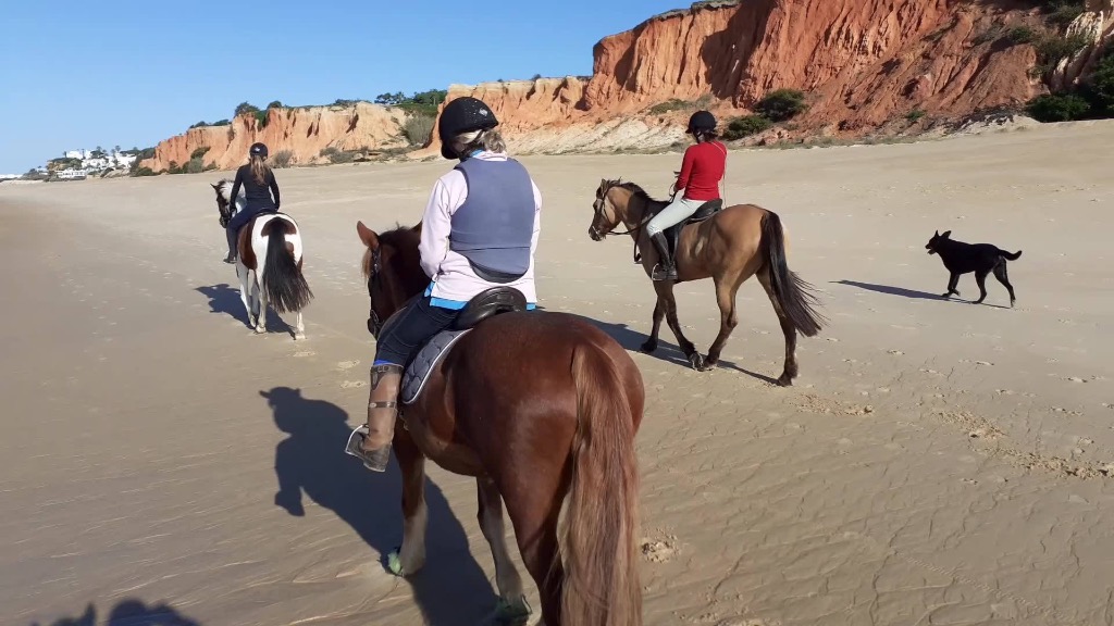 Pinetrees Riding Centre