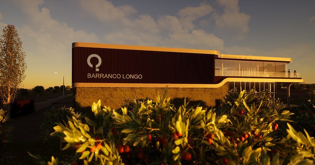 Quinta do Barranco Longo Vineyard