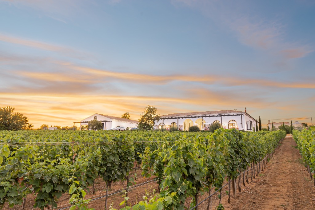 Quinta Dos Santos Vineyard