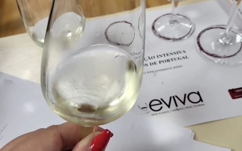 Eviva Wine School Algarve